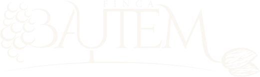 Finca Bautem