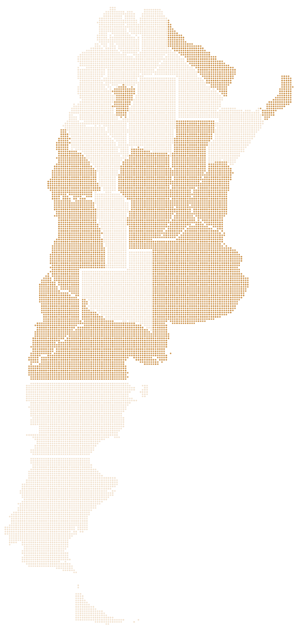Map of Argentina showing the provinces where Grupo Salute distributes